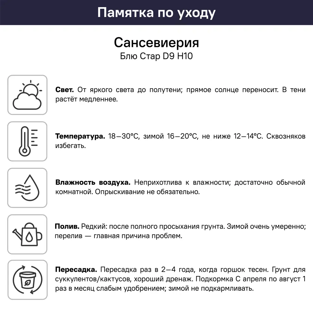Сансевиерия Блю Стар ø14 h10 см 89447873 STLM-2041950 Santreyd  - Вид №3