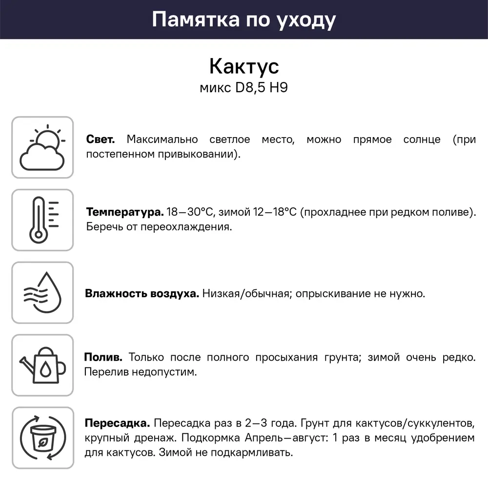 Кактус микс ø8.5 h9 см 89434680 STLM-2069518 Santreyd  - Вид №5