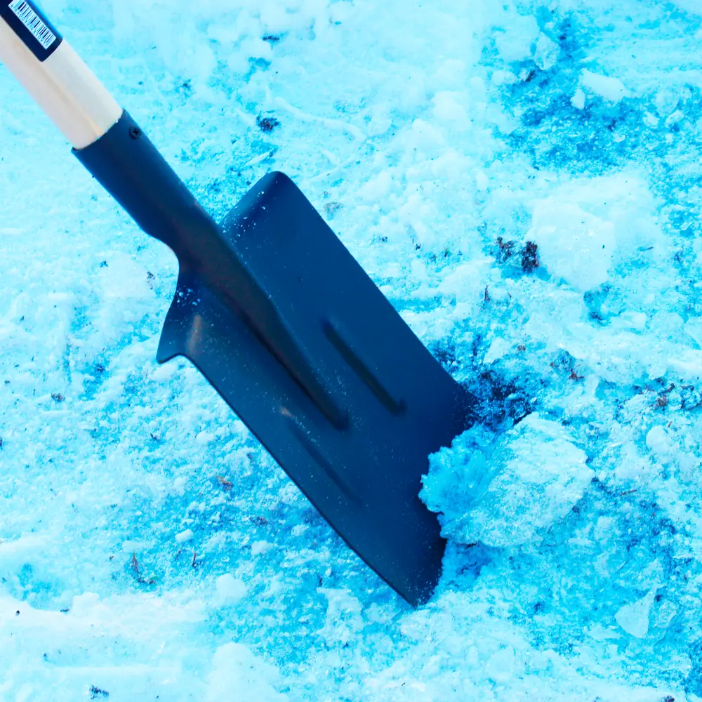 Лопата прямоугольная Zaryapro с черенком и рукояткой ПАВЛОВСКАЯ ЗАРЯ STLM-2043453 - Вид №4