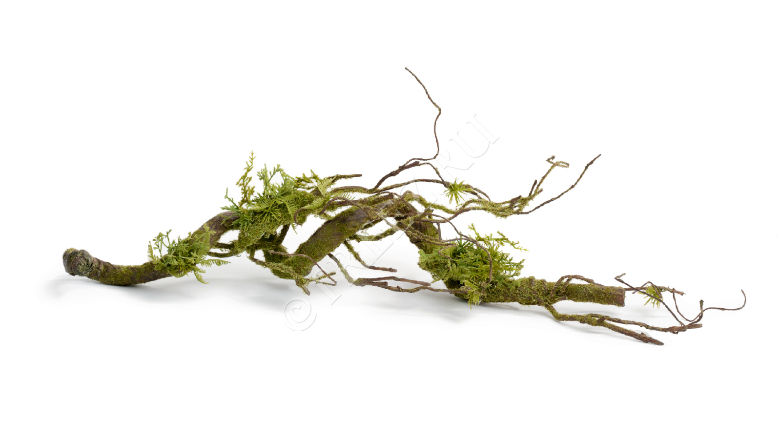 30.0818412 Коряга-лиана Спираль коричневая с мхом Цветочная коллекция 