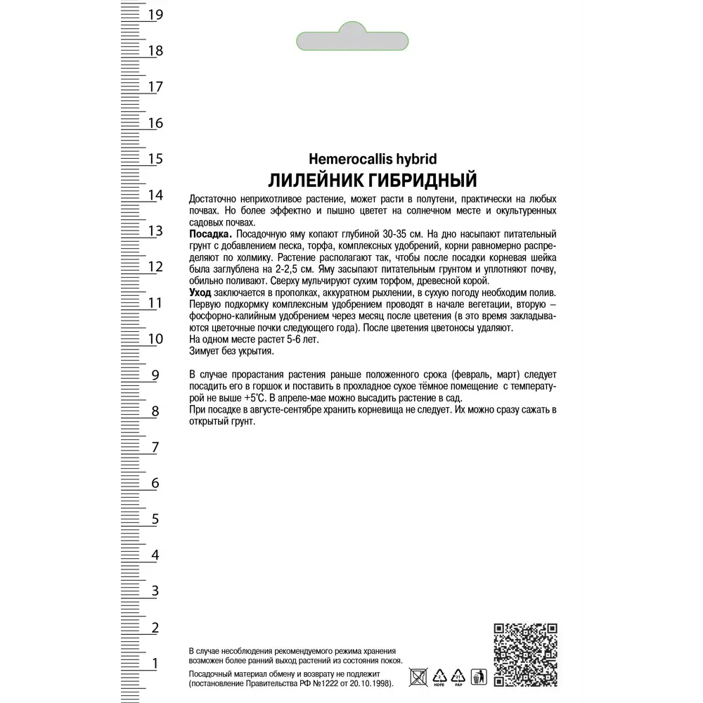 Лилейник гибридный «Найт Бекон», 1 шт. 82118732 STLM-2022634 Santreyd  - Вид №1