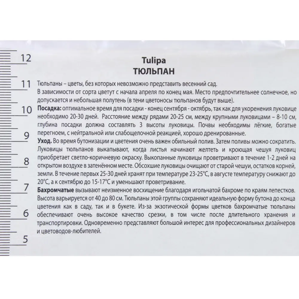 Тюльпан бахромчатый «Канаста», высота 40 см, 3 шт. 82000209 STLM-2064130 Santreyd  - Вид №2