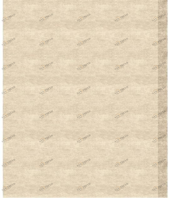 Tapis Rouge Прямоугольный коврик ручной работы Color block Tr1604hc