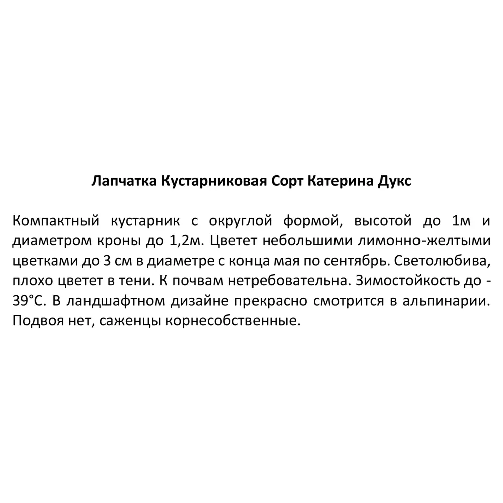Santreyd Лапчатка «Катерина Дукс» - ароматный многолетник для сада 85606778 STLM-0064538 - Вид №3