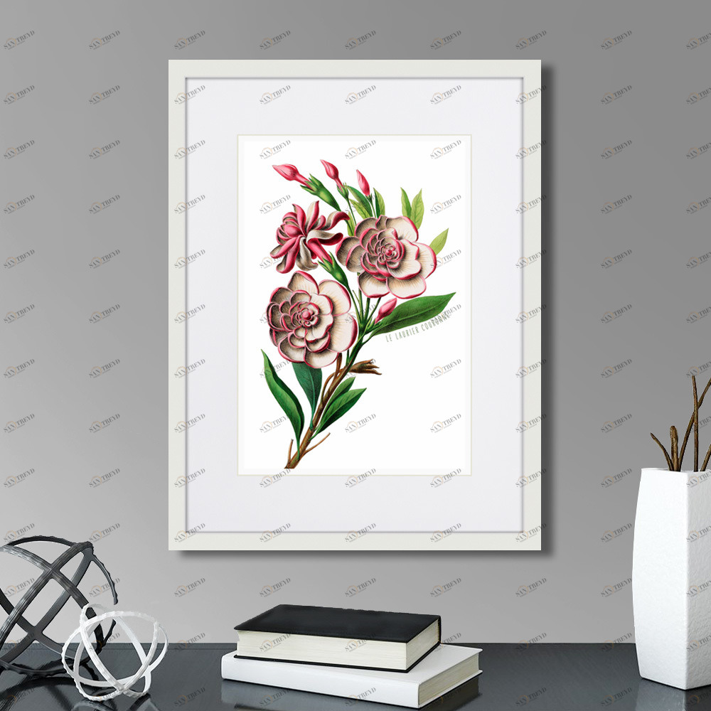 Литография на тонированной бумаге 42х32 см Caribian Flora Pink Gardenia Flower Branch, 1740г. КАРТИНЫ В КВАРТИРУ  264444 Белый;коричневый;разноцветный 