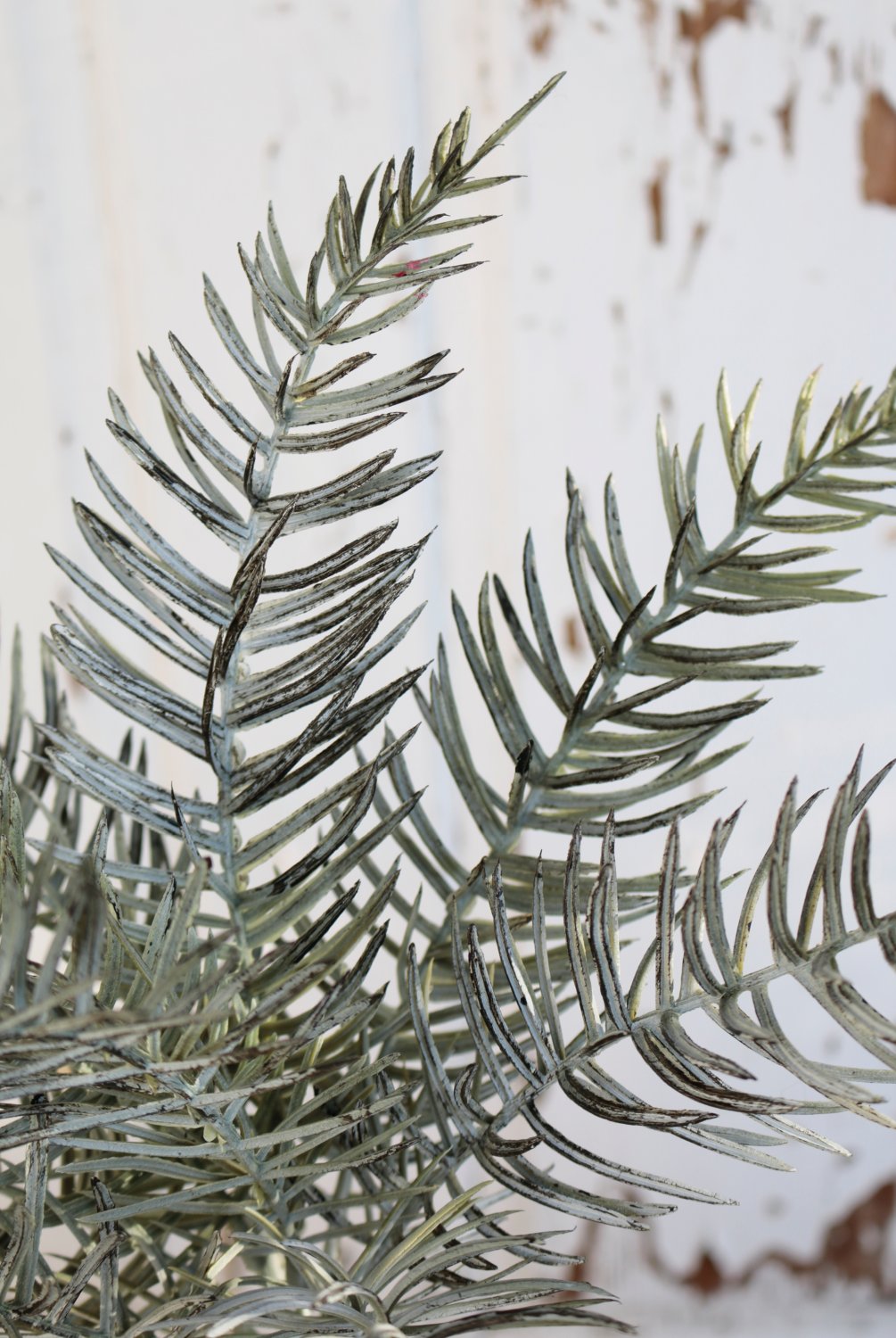 1163 888 a3 Куст искусственного кипариса, 40 см, темно-зеленый H-andreas  - Вид №2