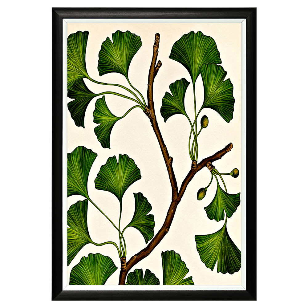 896518640_1818 Арт-постер «Гинкго листопадный» Object Desire 