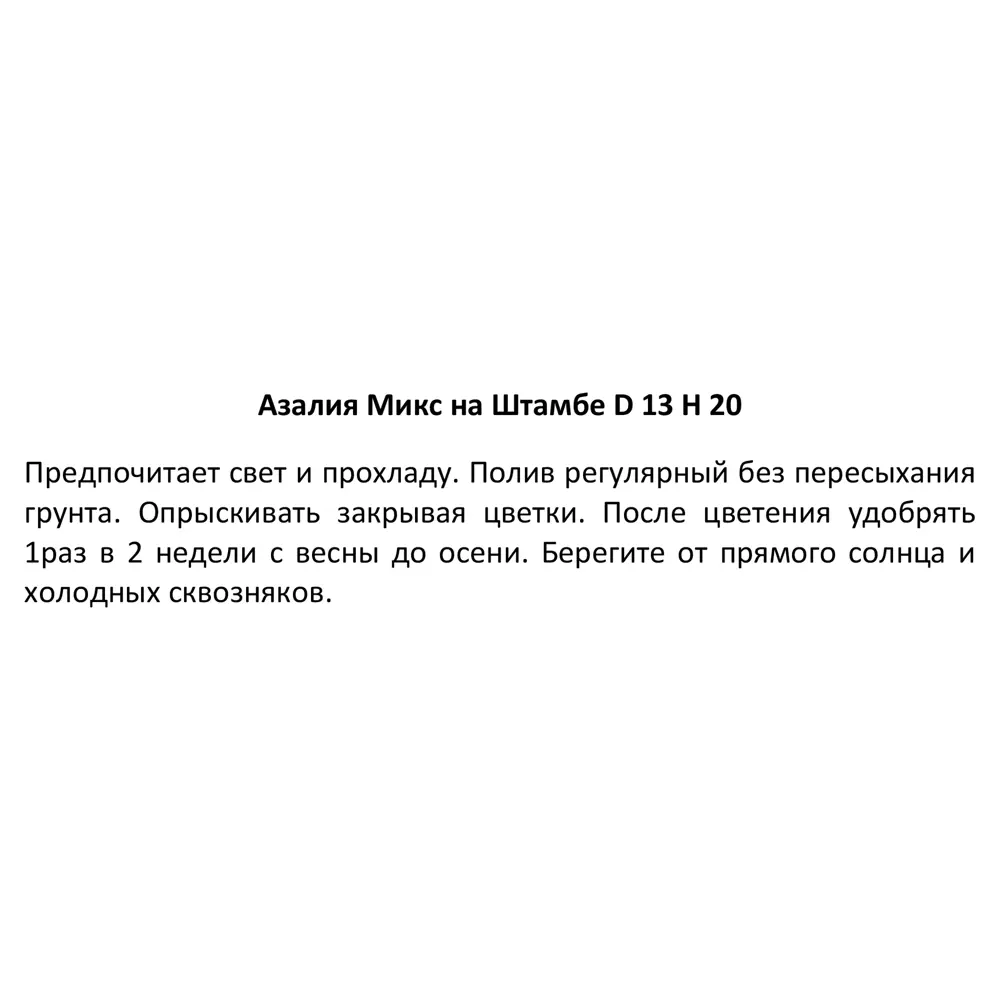 Santreyd Азалия микс - вечнозеленый кустарник с красными махровыми цветами 89352848 STLM-0949706 - Вид №4