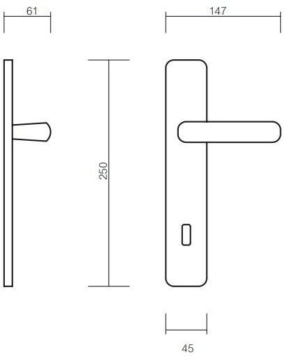 Pasini Ручка из латуни на пластине с накладкой Electra 3190 - Вид №1