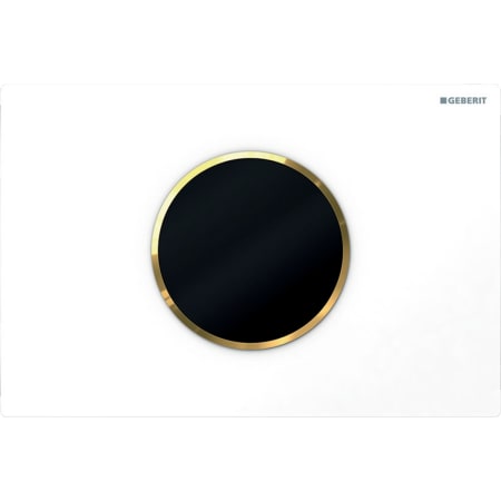 115.908.KH.1 Система электронного управления смывом унитаза Geberit, питание от батарей, двойной смыв, смывная клавиша Sigma10, автоматический / бесконтактный смыв Geberit  - Вид №5