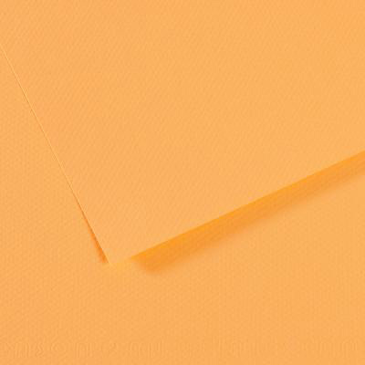 200321673 Бумага для пастели Mi-Teintes 160 г/м2 А4 21 х 29.7 см лист №470 кукурузный Canson 