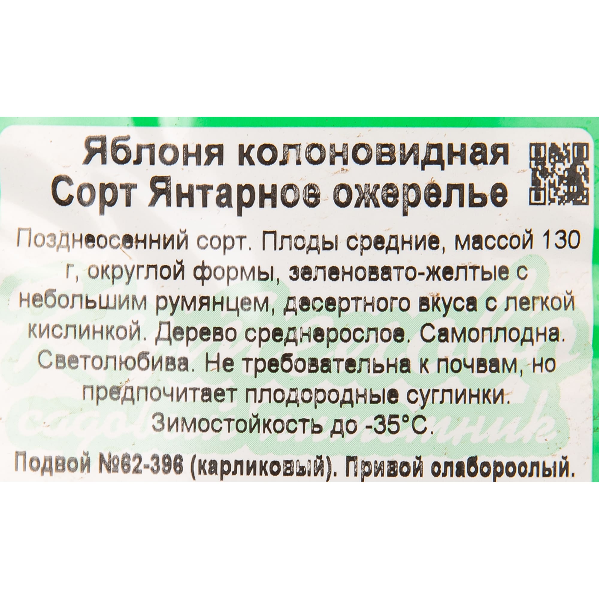 82597162 Яблоня колоновидная «Янтарное ожерелье» C4 высота 100 см Santreyd  - Вид №1