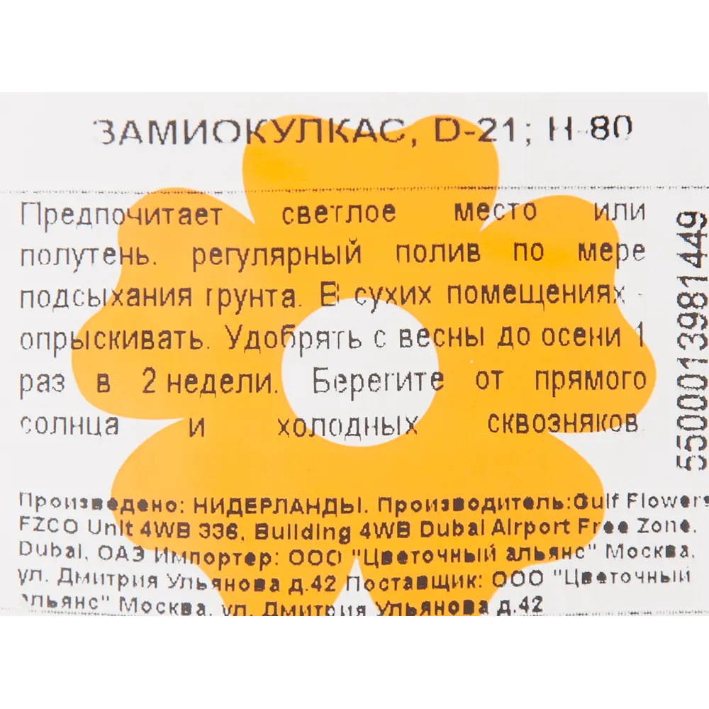 Замиокулкас 21x80 см 82850392 STLM-2132117 Santreyd  - Вид №2