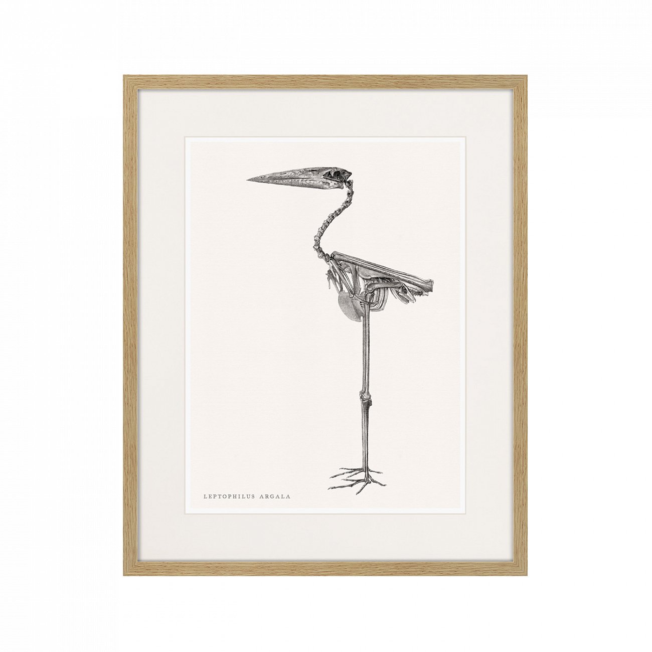 Картина в деревянной раме 52х42 см Leptophilus Argala, 1867г. КАРТИНЫ В КВАРТИРУ  264398 Белый;коричневый;разноцветный  - Вид №1