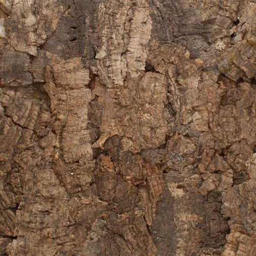 Пробка Wicanders Exotic Mato (Рельефная) 600х300 мм YR03001