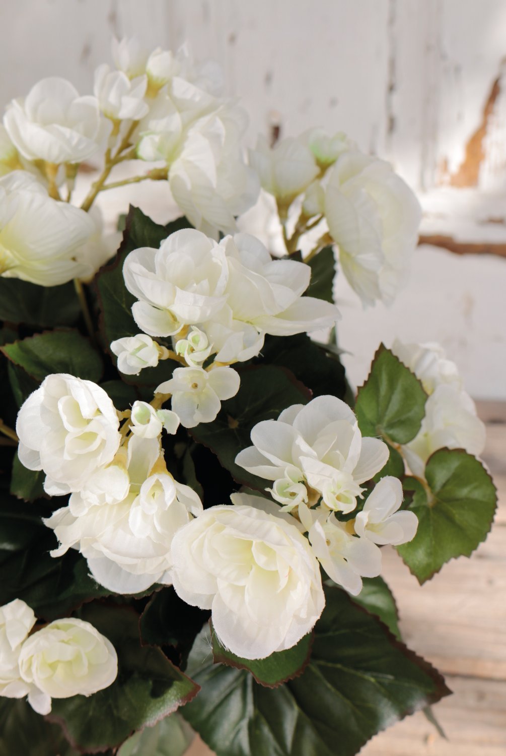 9715 777 a3 Бегония искусственная, горшечная, 30 см, белая H-andreas  - Вид №4