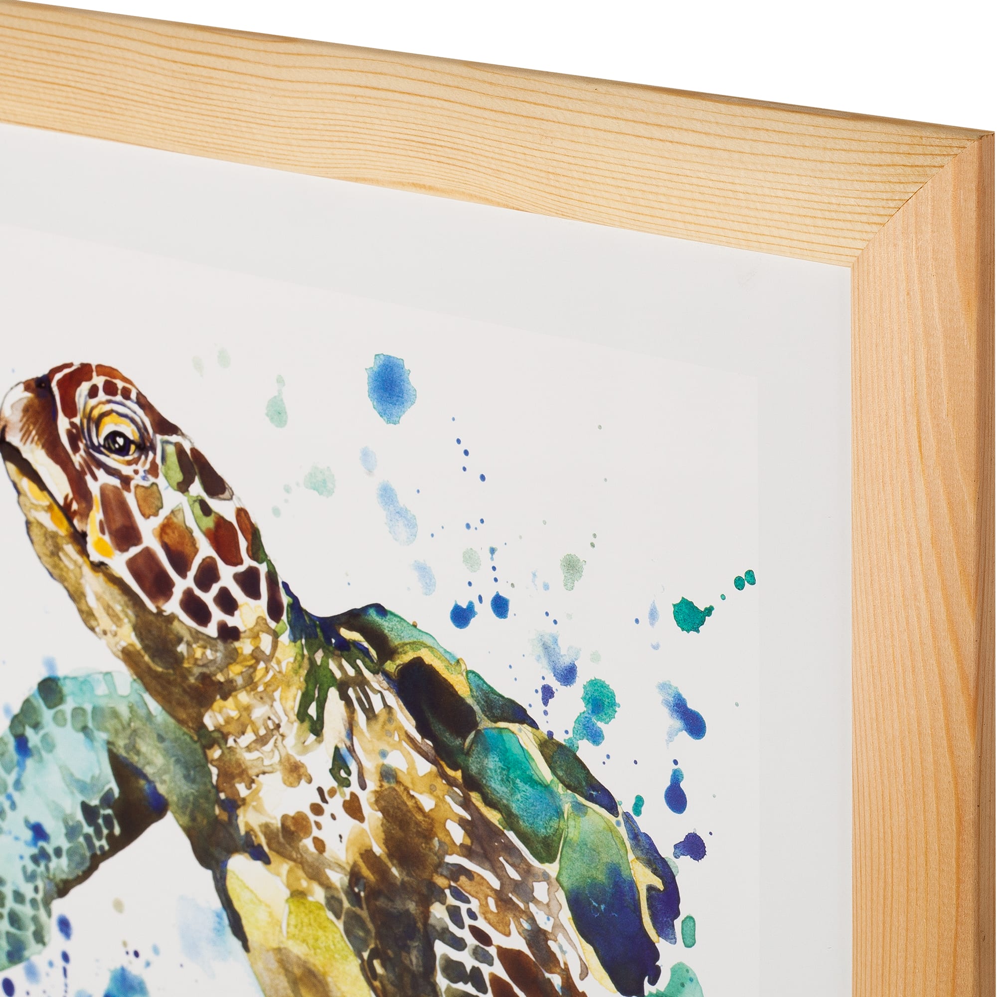 82206341 Постер в раме 40х40 см «Черепаха» Santreyd  - Вид №1