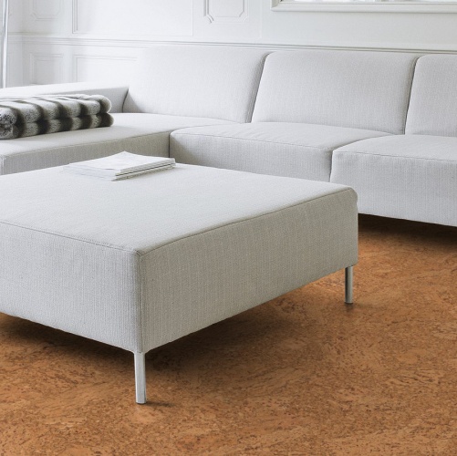 Пробка Wicanders Eco Cork Accent (Гладкая) 600х300 мм DN17002 - Вид №3