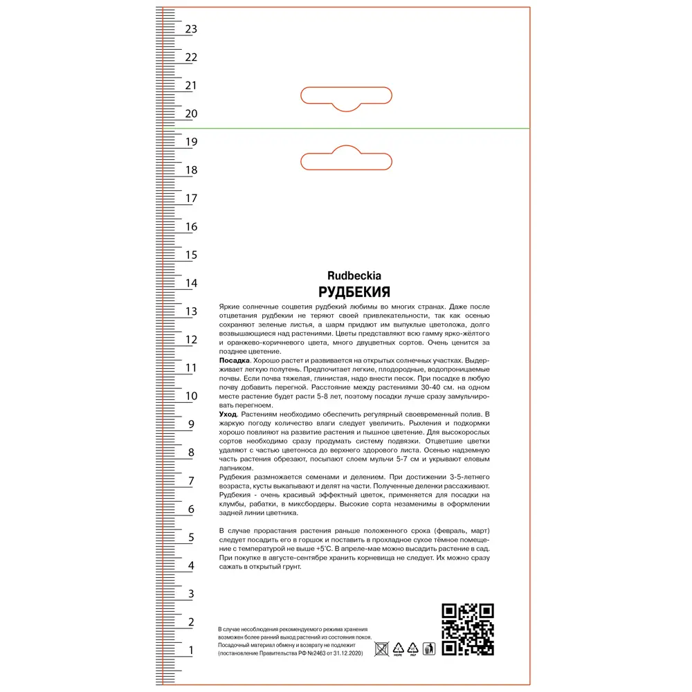 Рудбекия волосистая Черри Бренди 89452347 STLM-2048145 ПОИСК 