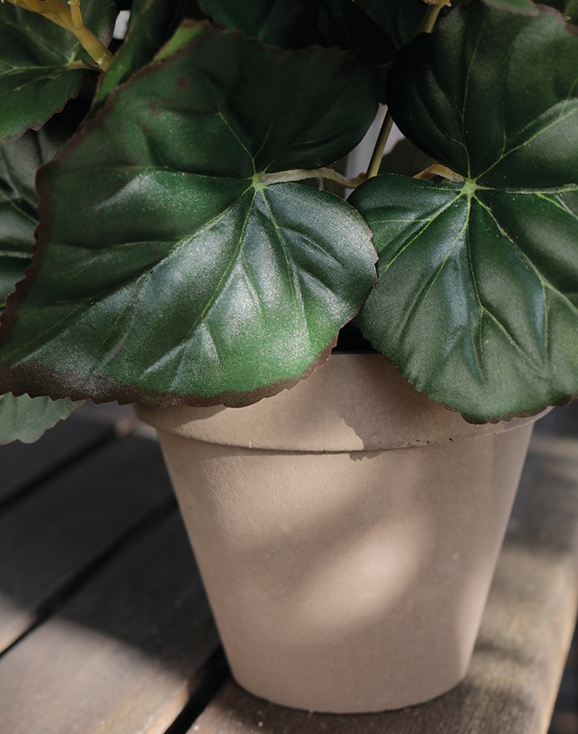 9715 777 a3 Бегония искусственная, горшечная, 30 см, белая H-andreas 