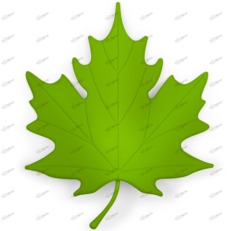 Подпорка для двери зеленая Autumn QUALY  00-3880686 Зеленый 