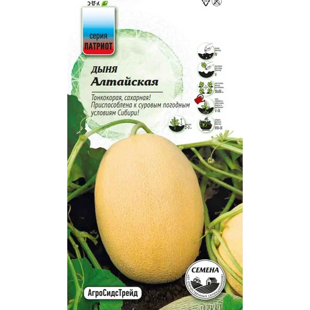 Семена овощей Агросидстрейд Патриот дыня Алтайская 89449250 STLM-2014083 