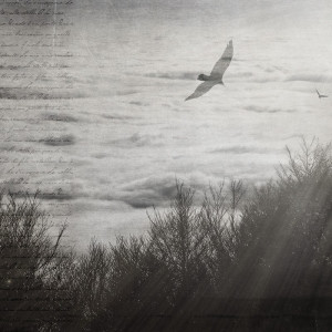 WP02008A Обои декоративные Adriani e Rossi