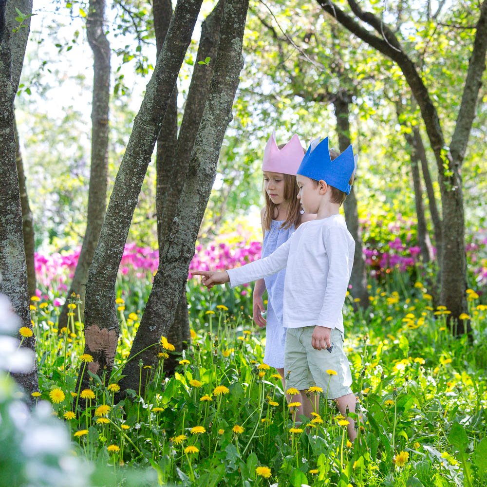 Детская корона Navy VAMVIGVAM NAVY 281490 Синий Santreyd - Вид №3