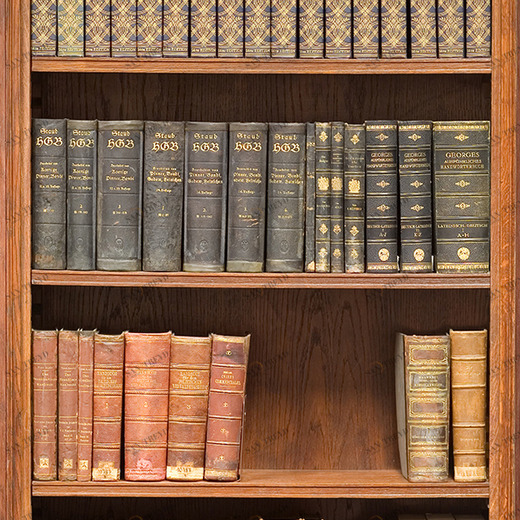 A1-067 Фотообои DIVINO Collection A 2.7х1 м A1067