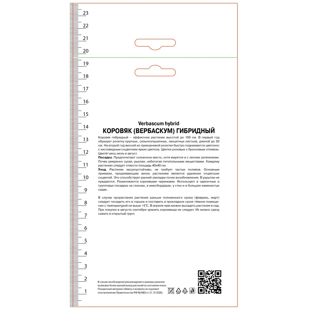 Коровяк гибридный Пинк Домино ПОИСК STLM-2011633 - Вид №1