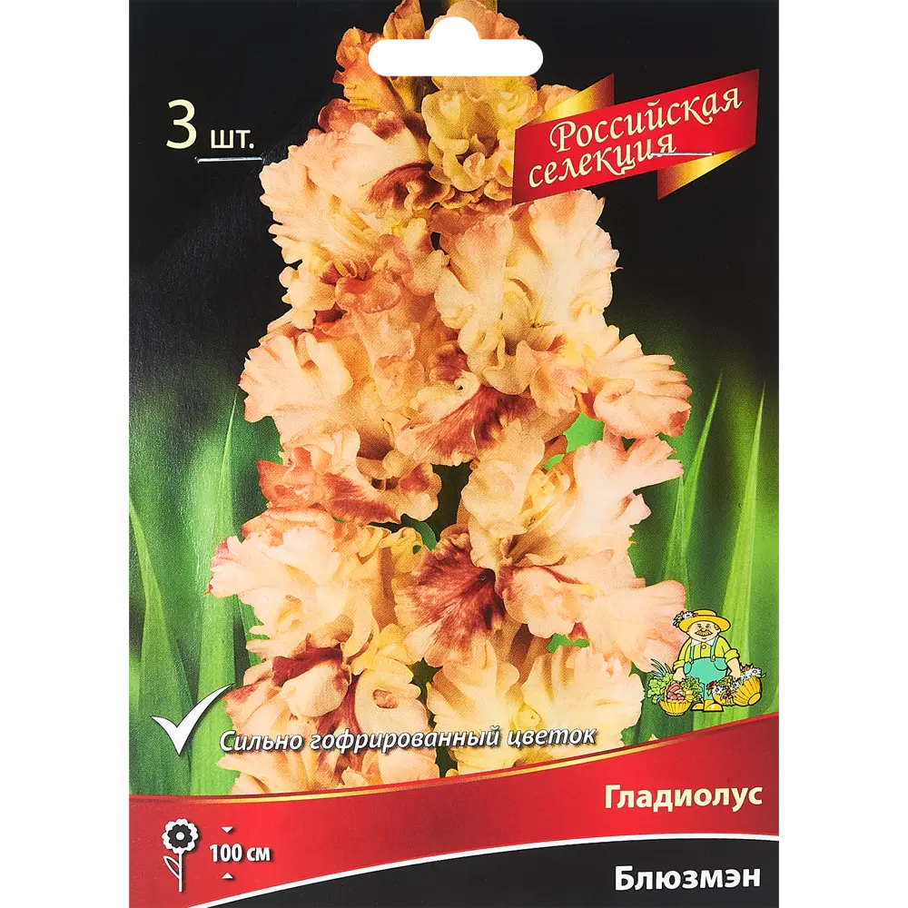 Гладиолус Блюзмэн, 3 шт 86410055 STLM-2006977 ПОИСК 
