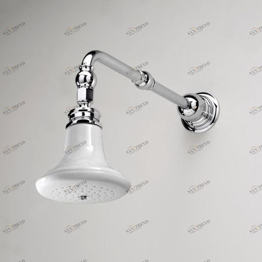 Душевая лейка DUSOFF6111CR Devon Devon SHOWER Devon&Devon