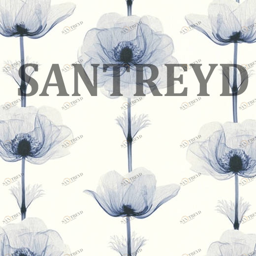 34273-1 Обои A.S. Creation X-Ray 342731