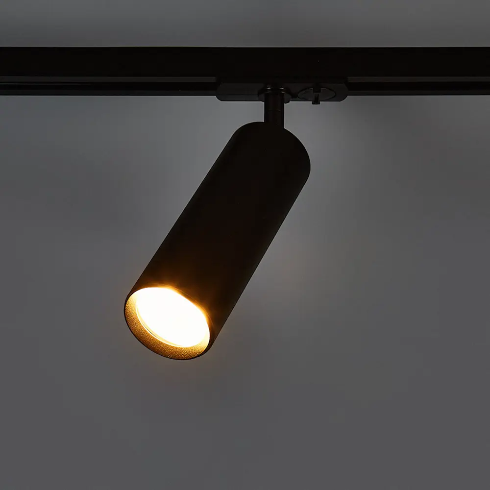 Arte Lamp Beid - трековый светильник с поворотным плафоном 87493354 STLM-0074139 - Вид №1