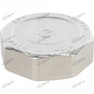 Заглушка ВР 2" никель STOUT SFT0027000002