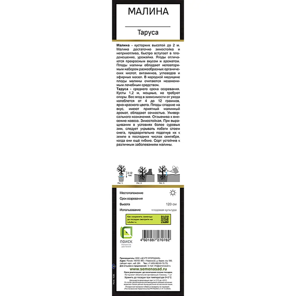 Малина Таруса h37 см 89452412 STLM-2147033 Santreyd  - Вид №1