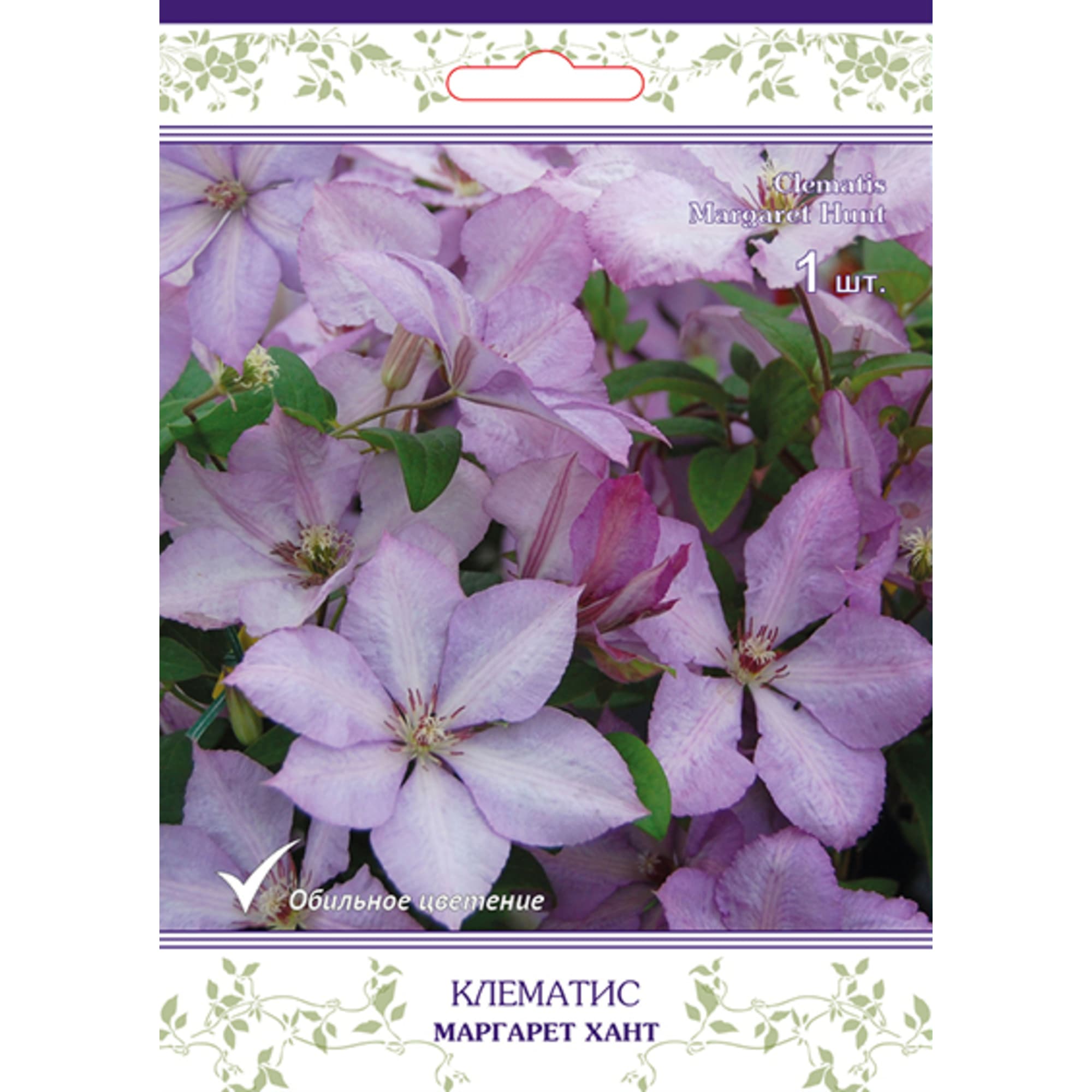 83431371 Клематис крупноцветковый Маргарет Хант h15 см Santreyd 