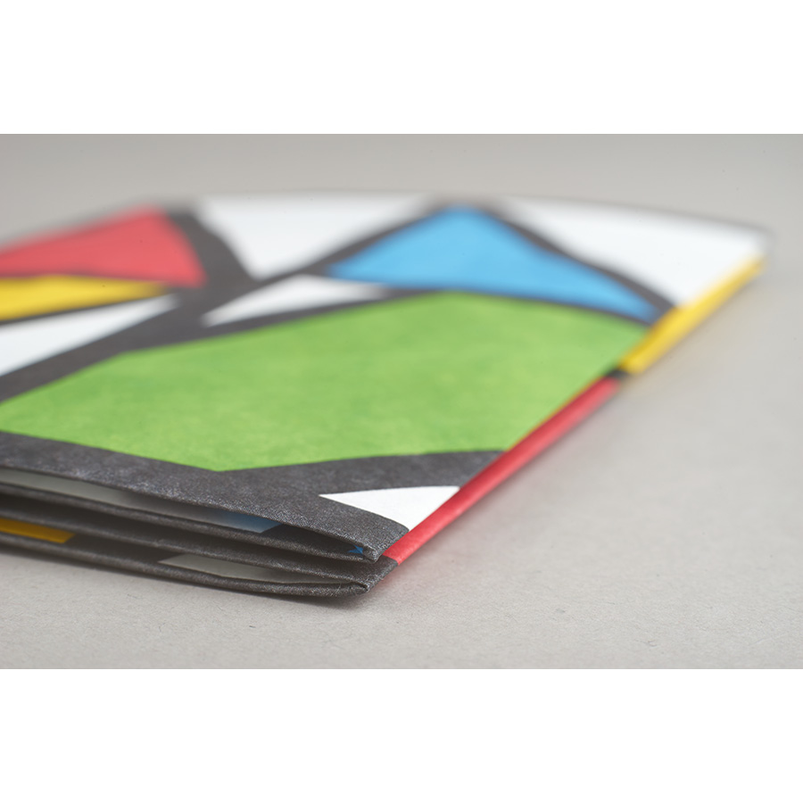 NC-123 Обложка на паспорт - new impression; сделан из tyvek® New wallet  - Вид №5