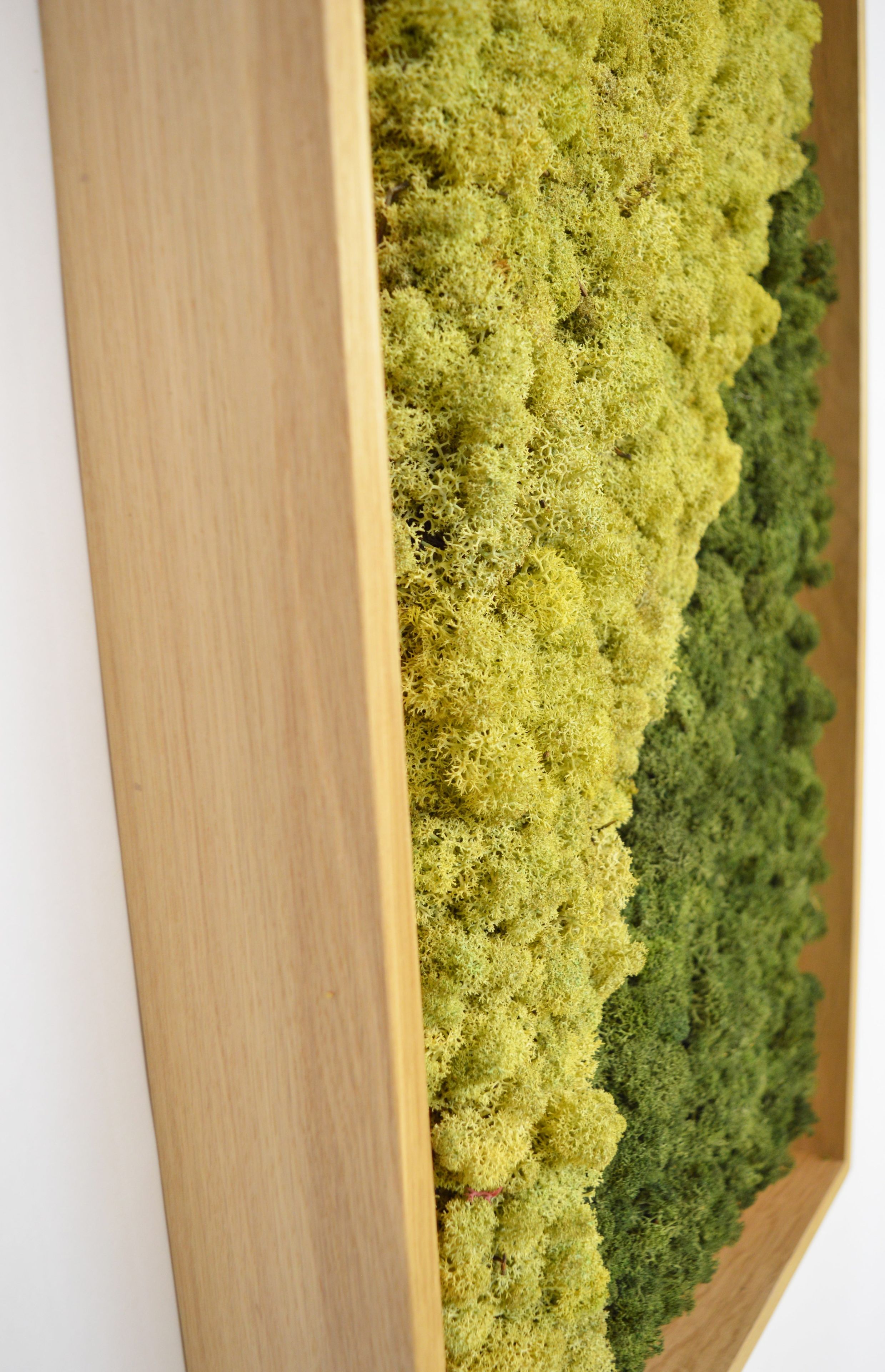 Акустическая панель из мха GREENMOOD FRAMED GEOMETRIC ARCH-00124960 - Вид №25