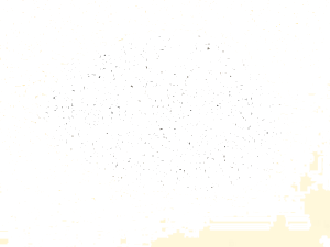 Azichem Бентонит натрия в виде порошка для гидроизоляции Proseal