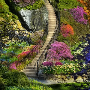 B1-070 Фотообои DIVINO Collection B 2.7х2 м