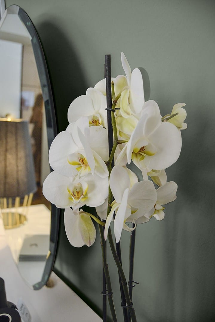 Деревянный туалетный столик Cantori город ARCH-00042964 - Вид №9