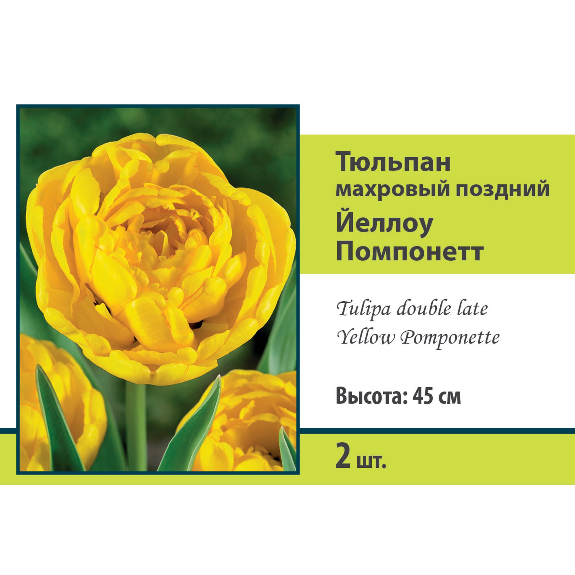 88294863 Тюльпан махровый поздний Йеллоу помпонетт луковица 10/11, 2 шт Santreyd 