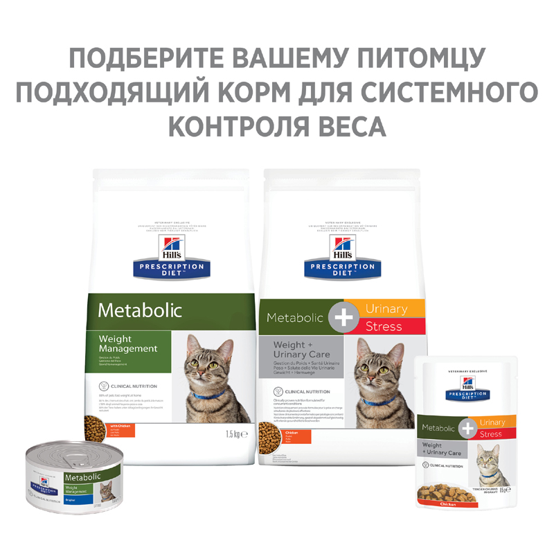 ПР0024856 Корм для кошек Hill"s Metabolic для коррекции веса, курица сух. 250г Hill's  - Вид №1