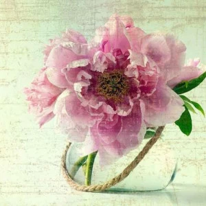 L-066 Фотообои DIVINO L&P 3х2.7 м