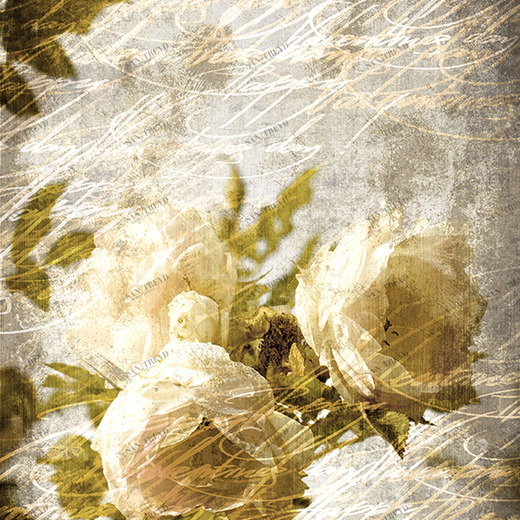 D2-082 Фотообои DIVINO Collection D 2.7х2 м D2082