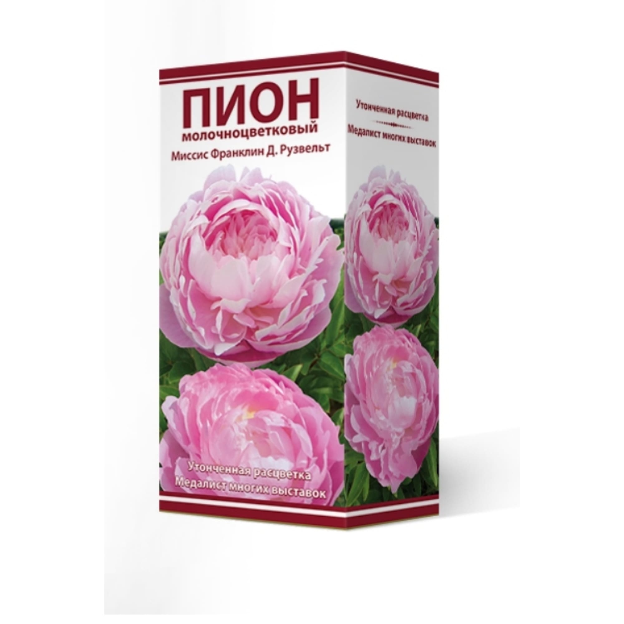 83600242 Пион травянистый Миссис Франклин Д.Рузвельт луковица 2-3 Santreyd 