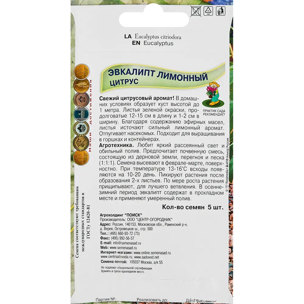 Эвкалипт Лимонный цитрус от ПОИСК - ароматное комнатное растение 89346584 STLM-0956236 - Вид №1