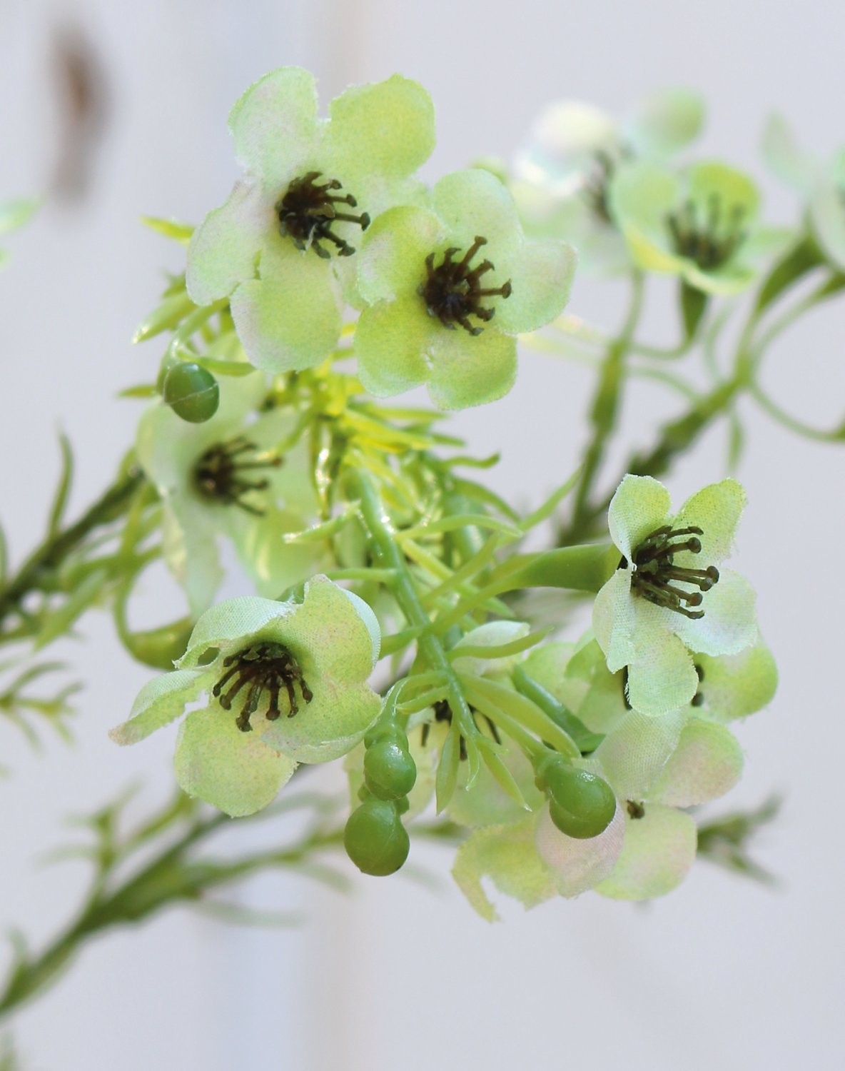 2021 788 a3 Растение из искусственного воска, 65 см, бежево-зеленое H-andreas 