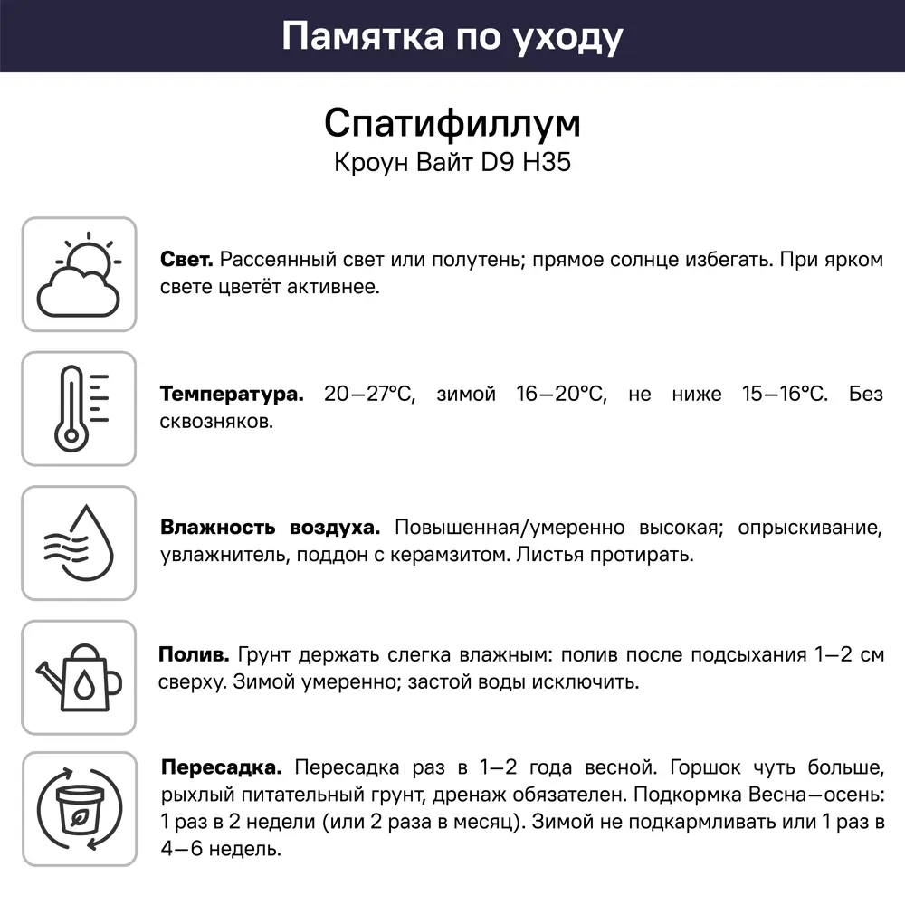 Спатифиллум Кроун Вайт ø9 h35 см 89447710 STLM-2112376 Santreyd  - Вид №5
